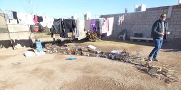 aves rescatadas san luis