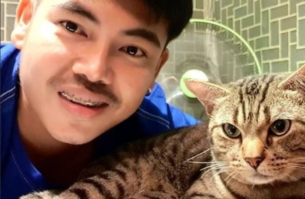 Descubrió que su gato lo asfixiaba por las noches gracias a una cámara oculta