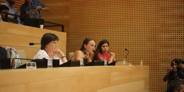 Luciana Echevarría habló en la legislatura\u002E