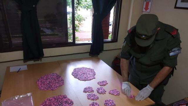 Casi 16 mil pastillas de estupefacientes en los paneles de un auto\u002E