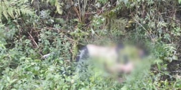 Alves, de 35 años, fue hallado sin vida y con un disparo en la nuca a metros de la Ruta Costera 2 en El Soberbio\u002E