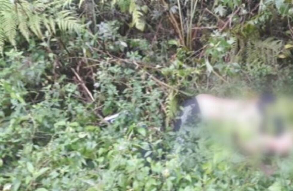 Homicidio en El Soberbio: investigan si la muerte de Alves se trató de un ajuste