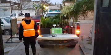 Su ex mujer le robó plantas por $ 50\u002E000