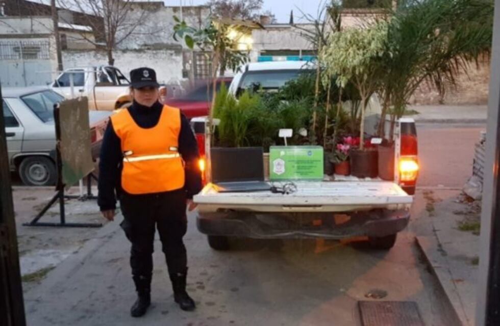 Le robaron plantas de su vivero y descubrió que fue su ex mujer