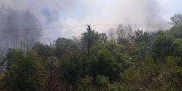 Sofocaron un incendio a pocos kilómetros de Bonpland\u002E Las llamas consuumieron unas cinco hectáreas\u002E