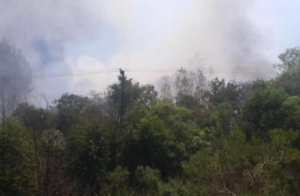 Extinguieron un incendio forestal que amenazó el área urbana de Bonpland