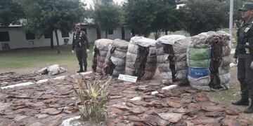 Gendarmería incautó pieles de iguana en el peaje de General Lagos\u002E (Gendarmería)