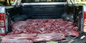 En Malargüe en ruta 40 sur, al controlarse una camioneta se descubrió que transportaba animales faenados\u002E