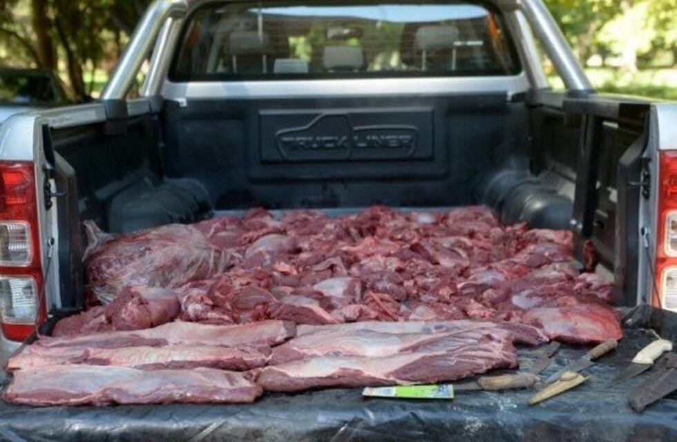 Malargüe: secuestraron cinco vacunos faenados