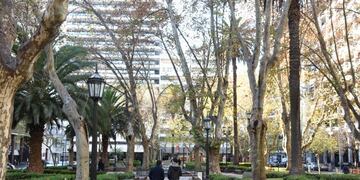 Remodelación del Paseo del Siglo y plaza Pringles