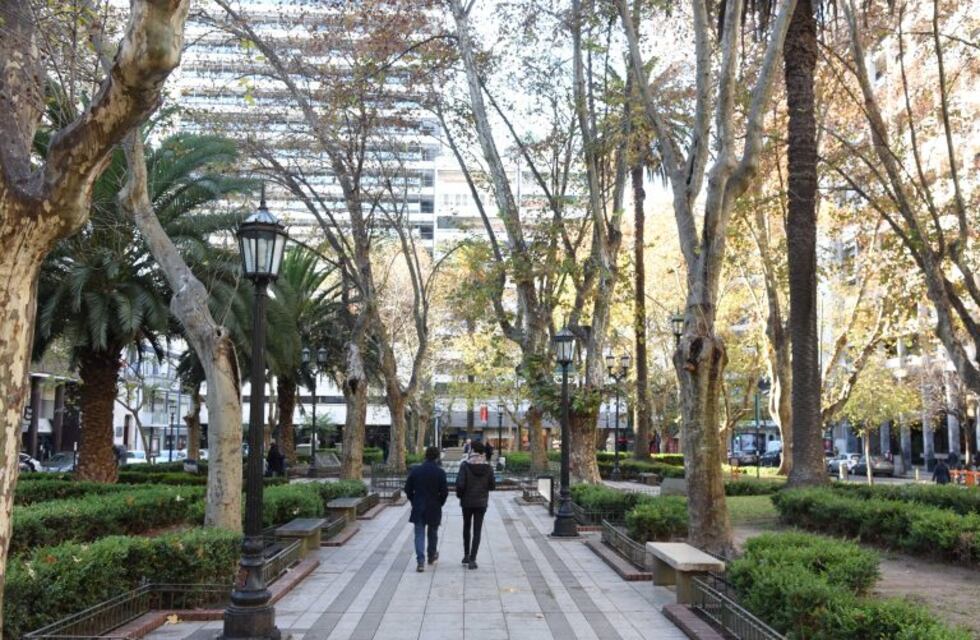 Inician obras de remodelación del Paseo del Siglo y de la plaza Pringles