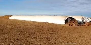 Ataque a un campo de Coronel Moldes, Córdoba, julio 2020\u002E