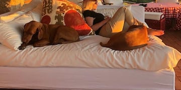 Susana Giménez compartió un video del momento previo a su grave caída