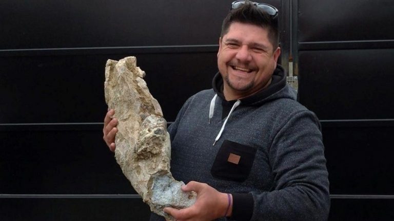 "La cumbia del mastodonte", el insólito tema para el hombre que descubrió un fósil en Berisso