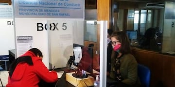 Licencias de conducir San Rafael