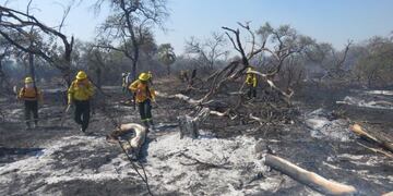 Los incendios forestales han arrasado con más de 70\u002E000 hectáreas de bosque nativo\u002E