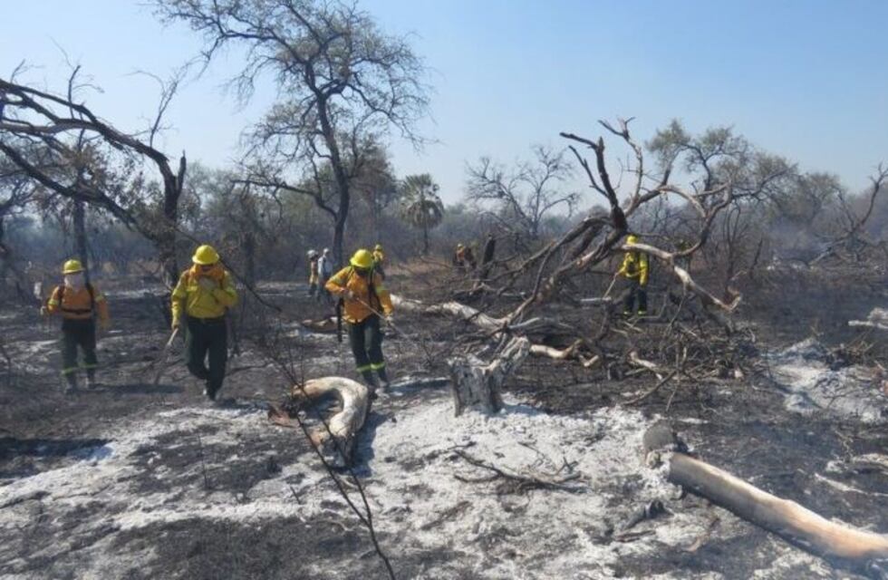 Proponen prohibir por ley el aprovechamiento de tierras de Chaco afectadas por incendios forestales