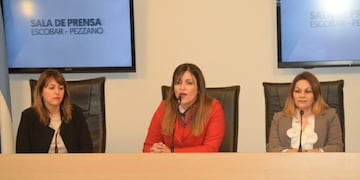 La funcionaria provincial anunció las facilidades para acceder al documento\u002E (Prensa Gobierno)