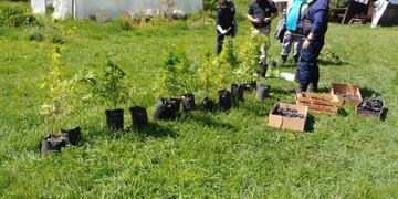 Operativo antidrogas Esquel 1