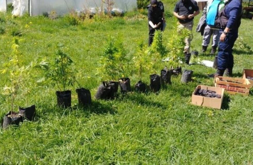 Se secuestraron armas celulares y drogas en el operativo llamado El Cordillerano