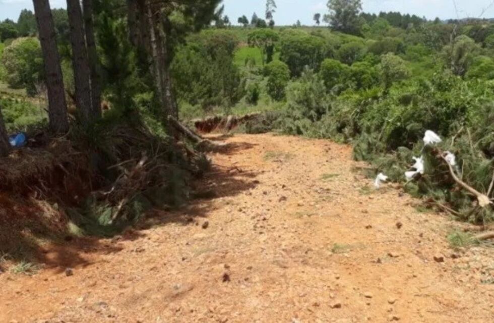 Finalmente se destrabó el conflicto por un camino vecinal en San Pedro