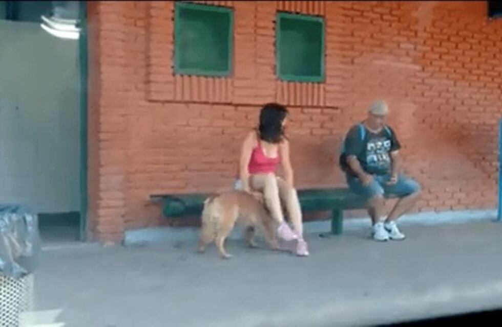 De la forma más cruel: abandonó a su perro en una estación de tren