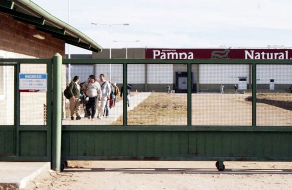 El Frigorífico Pampa Natural incorpora un cajón de noqueo para faena Kosher