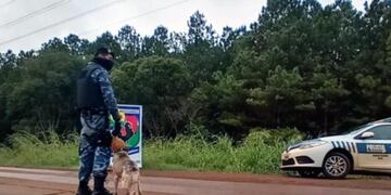 Personal policial de Eldorado adoptó un perro que los acompaña en los controles de cuarentena