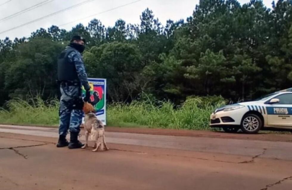 Personal policial de Eldorado adoptó un perro que los acompaña en los controles de cuarentena