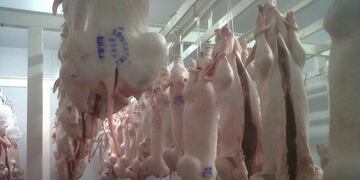 Clausura preventiva de dos frigorificos de pequeños animales