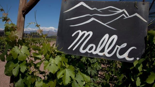 la superficie total de viu00f1edos en la Argentina hoy alcanza las 224.260 hectu00e1reas, con una tasa de variaciu00f3n de apenas 8% en los u00faltimos 14 au00f1os.