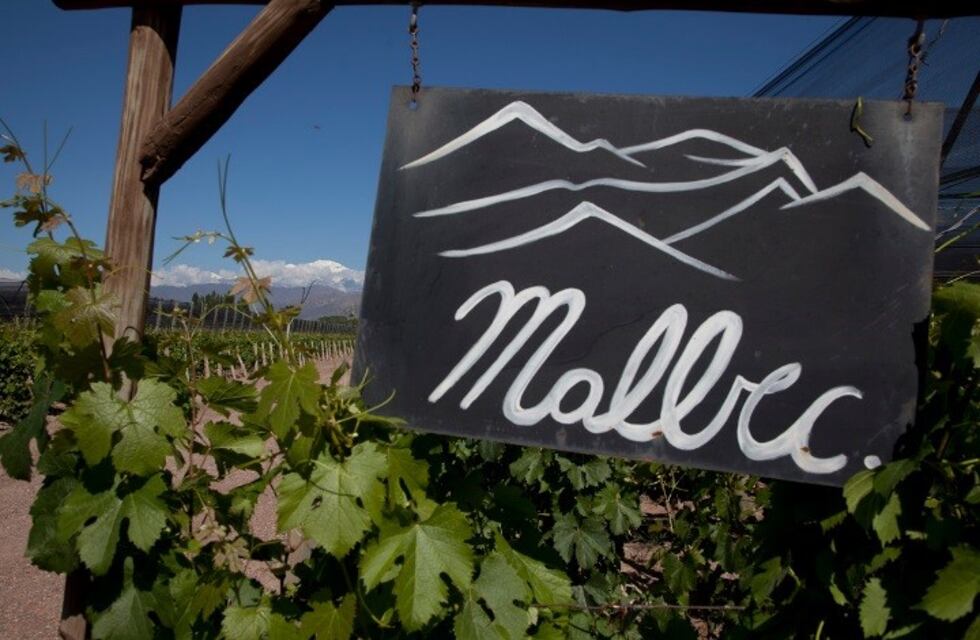 Día del Malbec: envíos a 114 países por U$S 515 millones