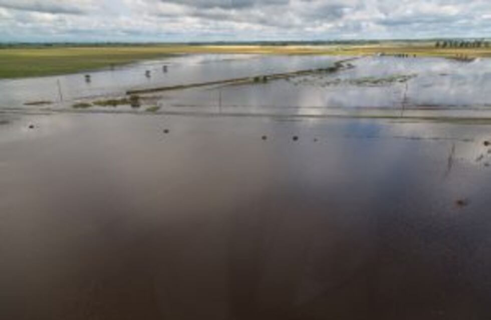 Otro funcionario pegó el portazo en Recursos Hídricos y crece el escándalo