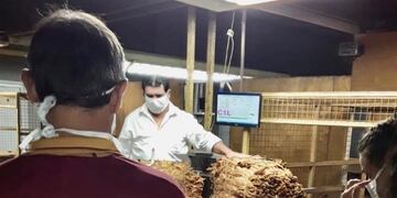 Misiones comenzó la campaña de acopio de trabajo\u002E (Min\u002E Agro)