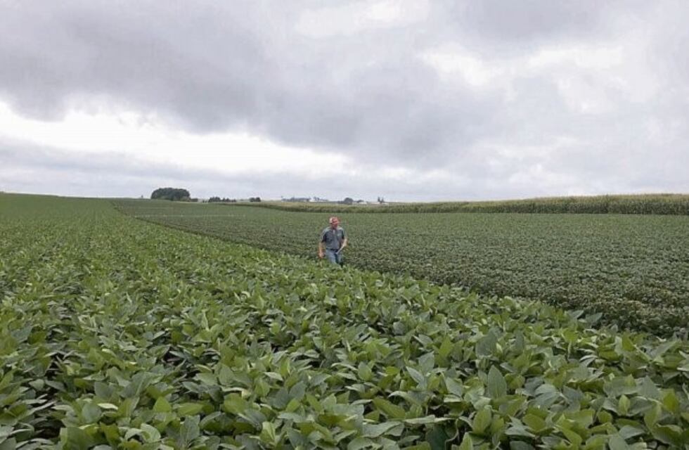 Presidente de la Rural bahiense sobre la actualización de retenciones: "Era algo esperado"