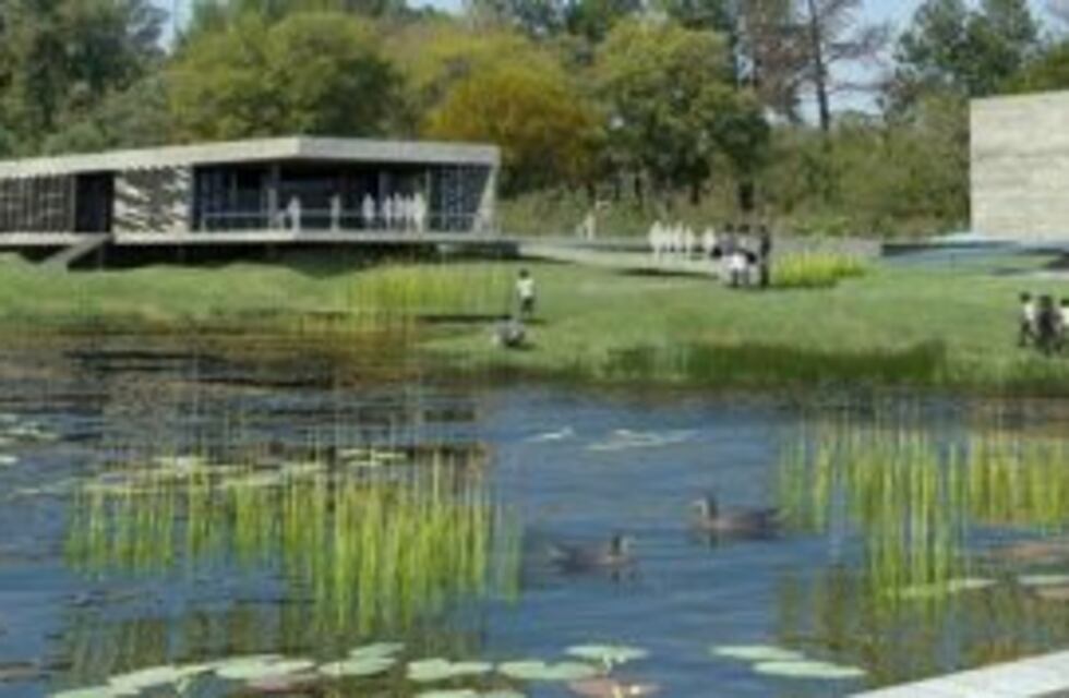 Una nena fue mordida por una víbora y debió ser trasladada de urgencia a un hospital