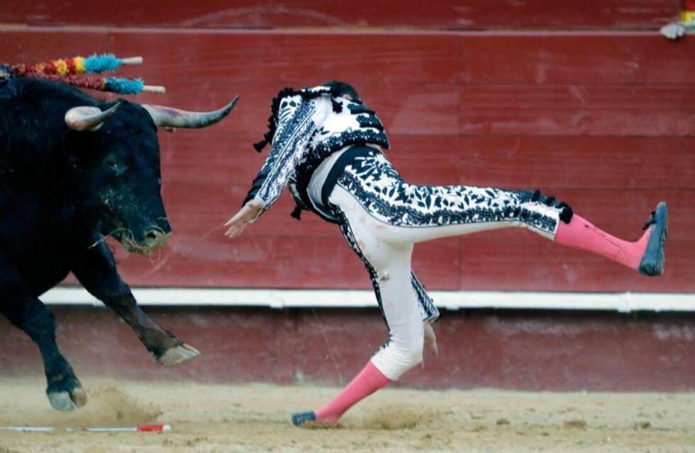 Un torero español sufrió una grave cornada en una corrida