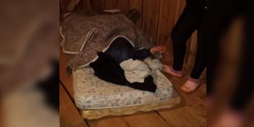 Uno de los hijos denunció a su hermana por el estado del padre de ambos\u002E