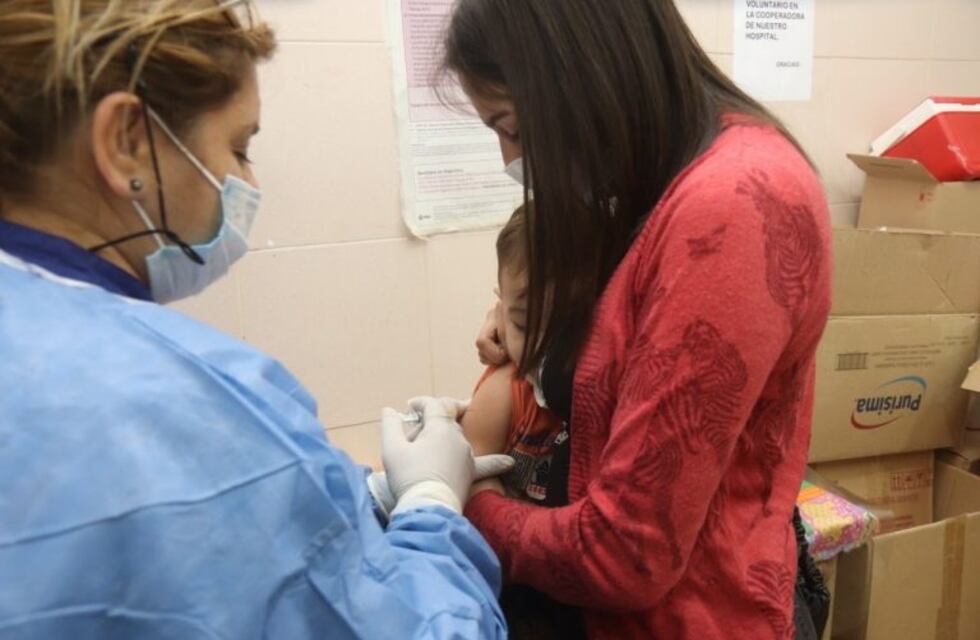 Vacuna Antigripal: este martes se vacunaron embarazadas y niños