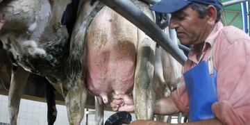 Venden leche a 10 pesos en la plaza Sarmiento para demostrar que se puede eliminar la distorsión de precios