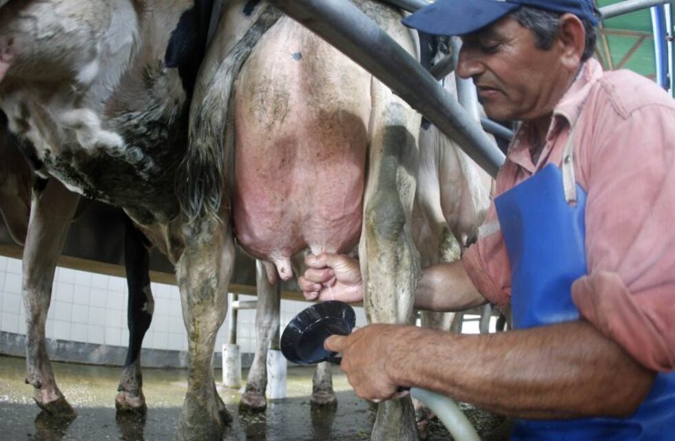 Venden leche a 10 pesos en la plaza Sarmiento para demostrar que se puede eliminar la distorsión de precios