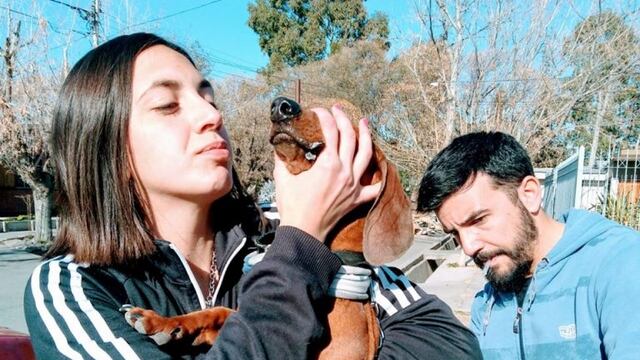 Vacunación antirrábica