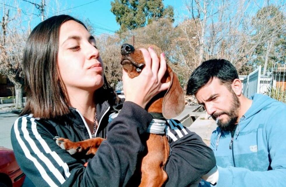 Nuevas fechas para las Jornadas de Vacunación