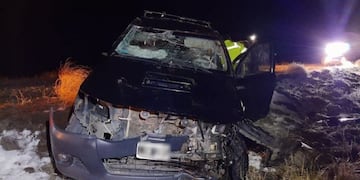 Un ciervo en la ruta provocó un importante choque en Junin de los Andes (Foto: LMN)