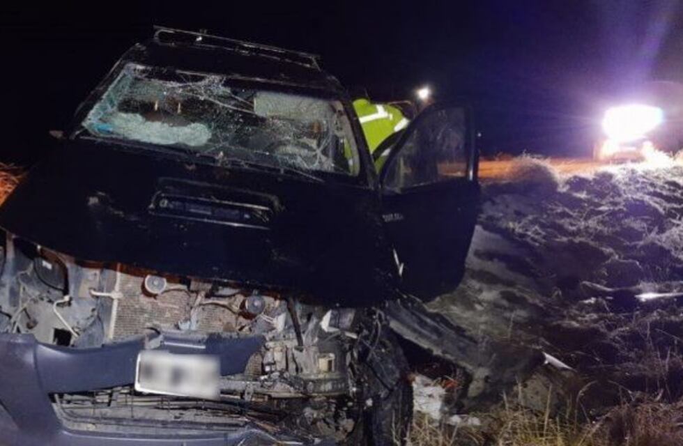 Un ciervo en la ruta provocó un importante choque en Junin de los Andes