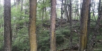 Cerro Michi Tolhuin, Tierra del Fuego