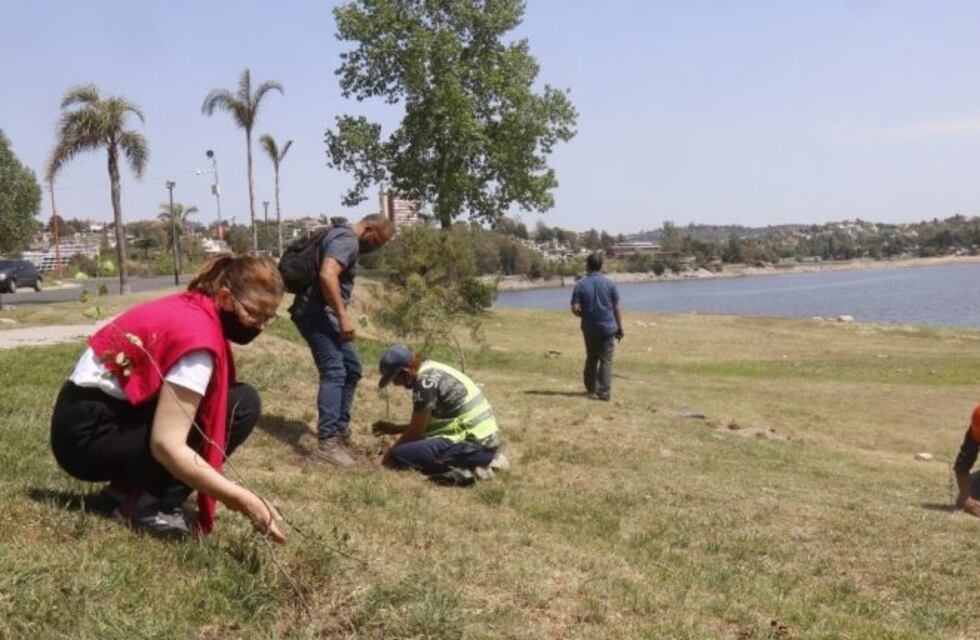 Jornada de forestación con especies nativas en la costanera de Carlos Paz