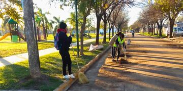 Recolección de hojas en la vía pública en los barrios de Rafaela