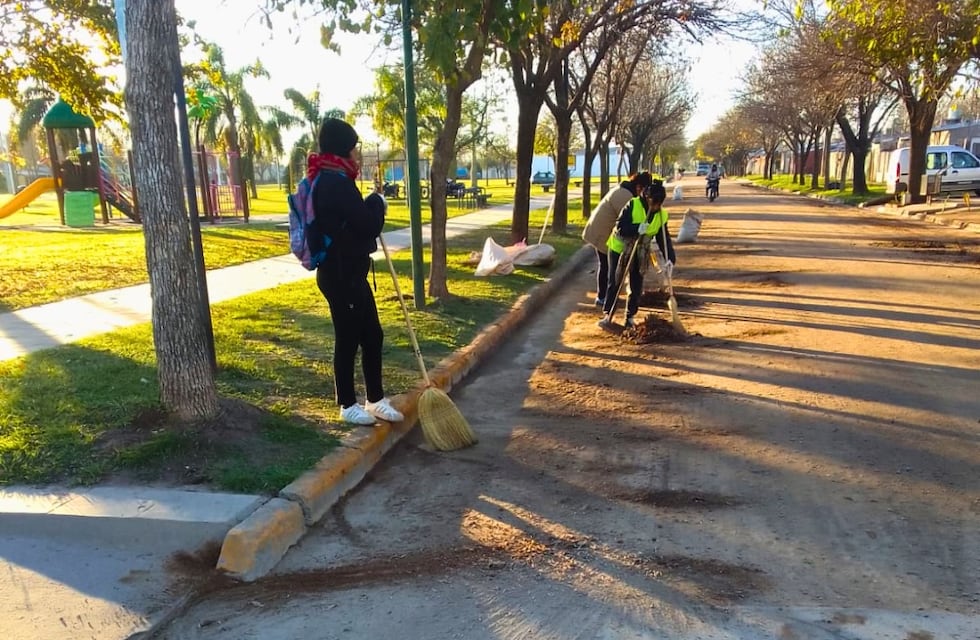 La recolección de hojas en la vía pública continúa en todos los barrios