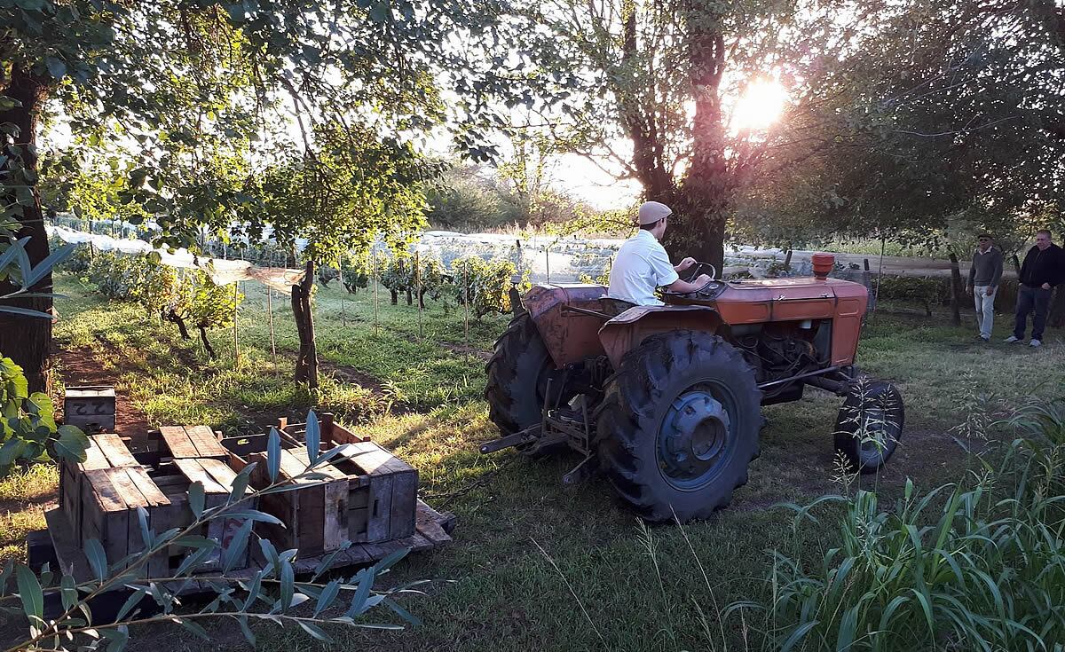 Finca Rosel tiene huerta, granja y producción 100 por ciento artesanal.